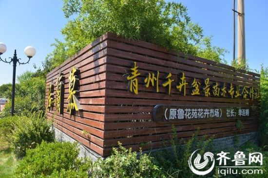 山东广电媒体记者走进青州花卉公园见证花都魅力