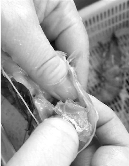 扒开虾内部看一看