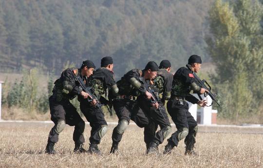 担负展演任务的武警黑龙江总队老虎突击队特战队员分别进行了反劫持