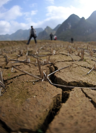 组图广西河池遭遇干旱60万人饮水困难