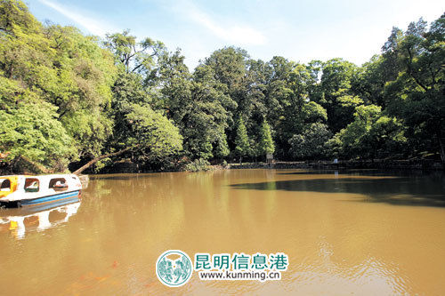 大旱之年 昆明四大出水龙潭均"喊渴"(图)