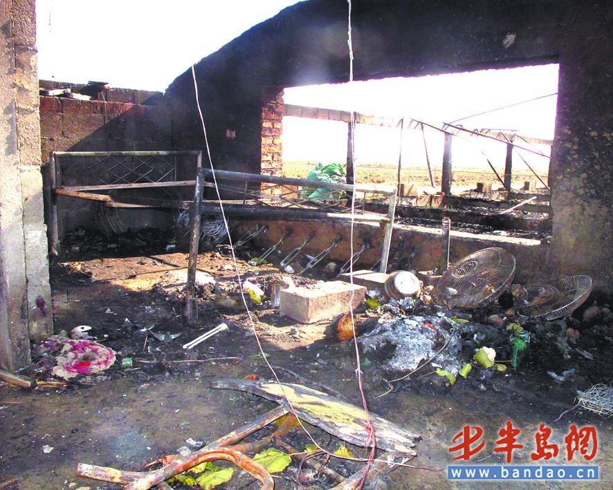平度养殖户大棚突起火 近万只鸭苗被烤死(图)