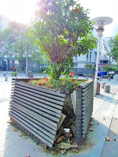 长江路公共设施损坏严重