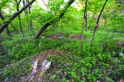 美龄宫南侧突现十来座"野坟"