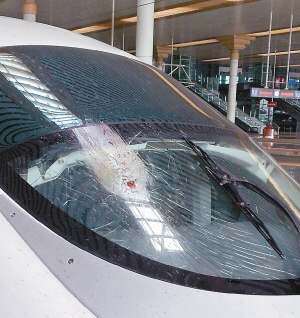 飞鸟撞高铁乘客大换车