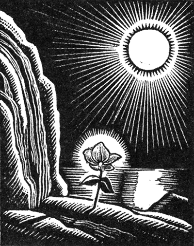 《肯特传》作者:唐·罗伯茨版本:金城出版社2014年3月"……藏书票