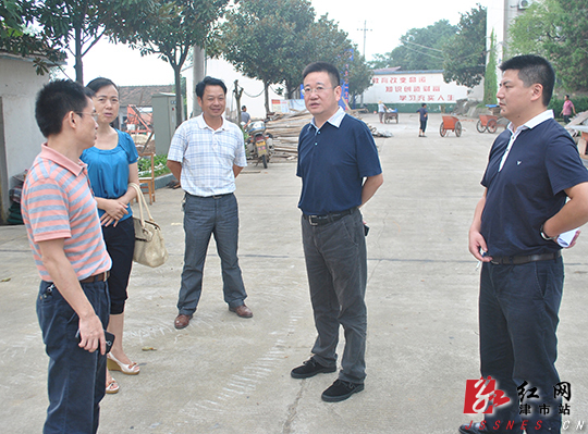 津市市政府副市长李景峰前往李家铺乡,保河堤镇,渡口镇,棠华乡,白衣镇