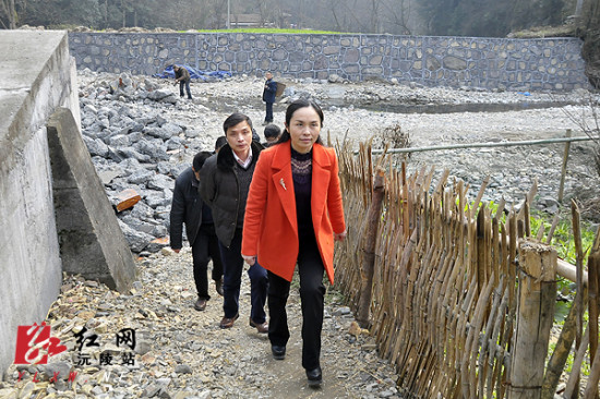 贺庆玲深入明溪口镇走访慰问贺庆玲慰问陈家溪村困难户红网沅陵站2月6
