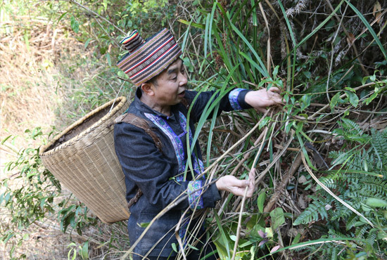 新春走基层:走进江华瑶族自治县花江乡