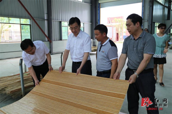 隆回县县委副书记,县长马健强,副县长宁玉光,副县级干部,县工业经济