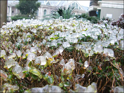 贵州冻雨图片大全图片