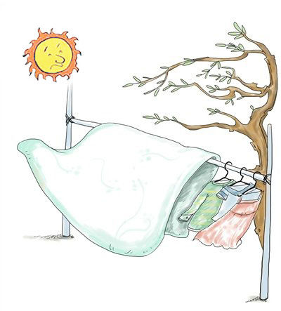 春季螨虫肆虐时 衣服床单要经常晾晒_新浪天气预报