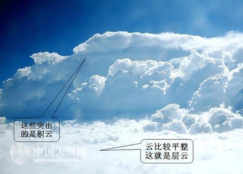 层云和积云实物图