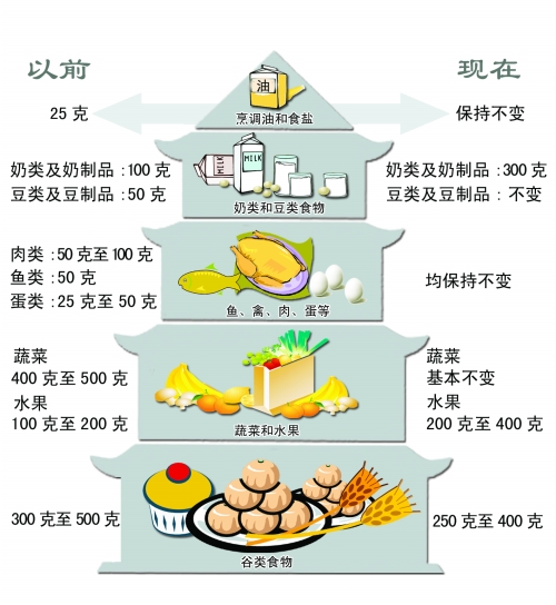 卫生部新闻办召开新闻发布会,正式颁布新修订的《中国居民膳食指南》