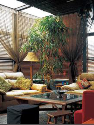 梁静未嫁房产大亨仍住奢华豪宅(组图)