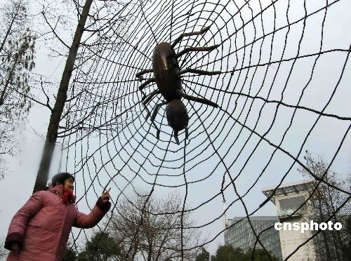 圖:上海植物園巨型