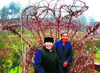 龙山县华塘街道办事处70岁的土家族老人张应瑞花费20年时间,用一种本