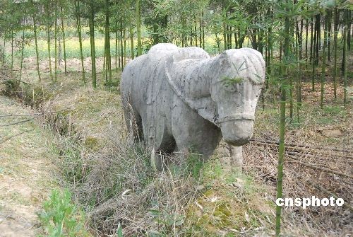 图杭州瓶窑发现疑似明兵部尚书柴车墓