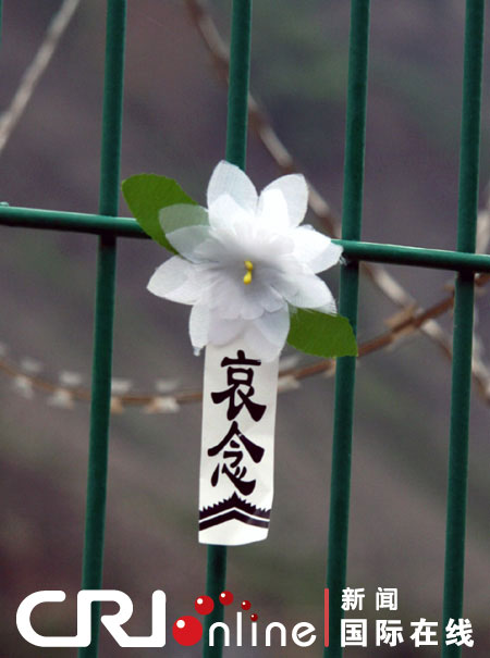 哀念悼念战友废墟下的生命祭奠国际在线报道(记者 李瑛):北川,这个
