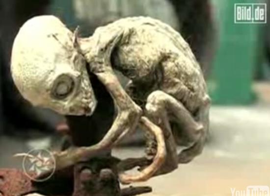 传西班牙农民发现外星婴儿 身体关节类似人类(图)