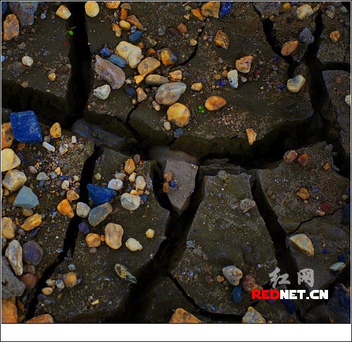 洞庭湖现60年来超低水位