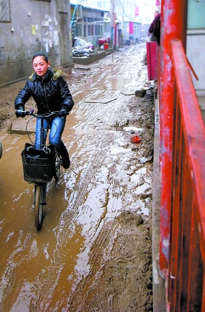 唐家岭蚁族图片