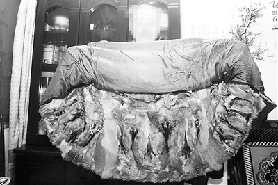 说他家中有一件祖传的虎皮大衣,现在想捐出来不知哪里可以接收?