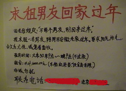 租男友回家过年(资料图)