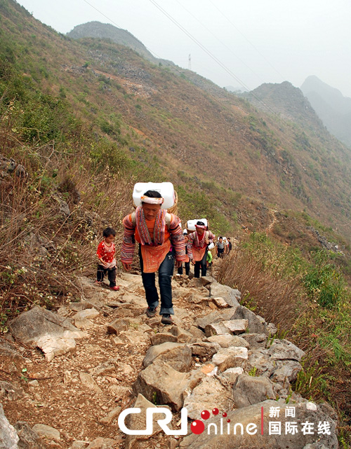 云南大山里苗族男女翻山越岭为寻水(高清组图)