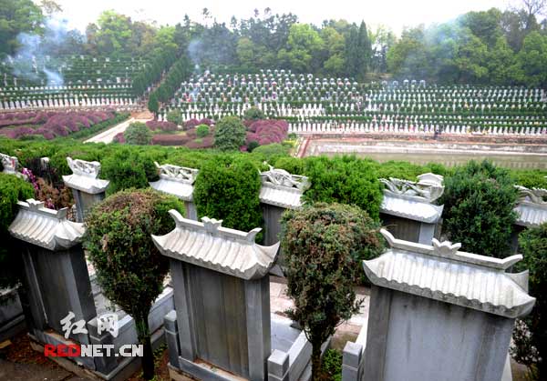 清明節前的長沙某墓園,掃墓燃放鞭炮的硝煙不時在陵墓間飄散.