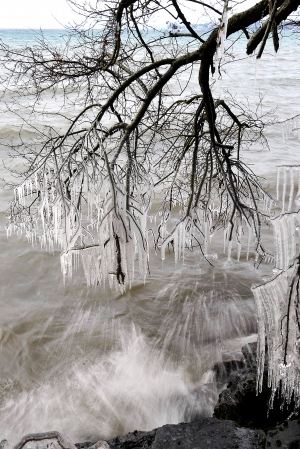 "千年极寒说"疑是假新闻