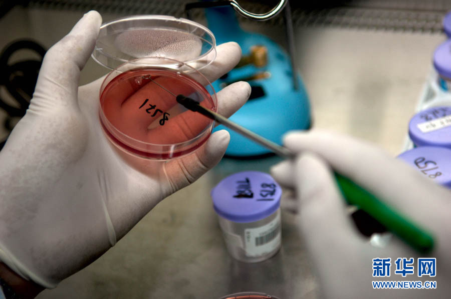 探访超级细菌实验室(高清组图)