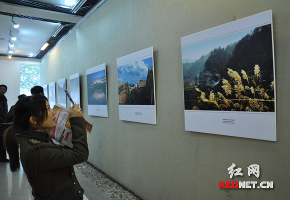 女县长走遍黑茶之乡 百幅照片展示安化父老乡亲