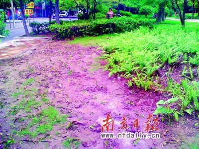 公园乱象煞风景