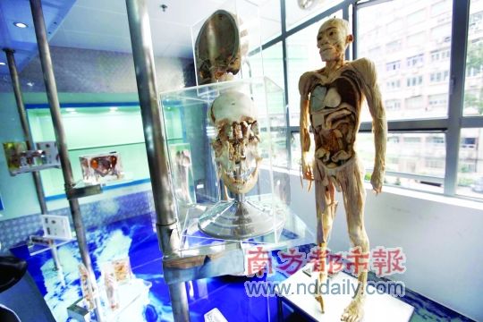 北京自然博物馆女尸展图片