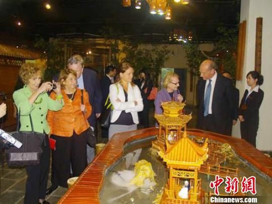 何凤山“生命签证”感动美国前众议员代表团_新浪新闻