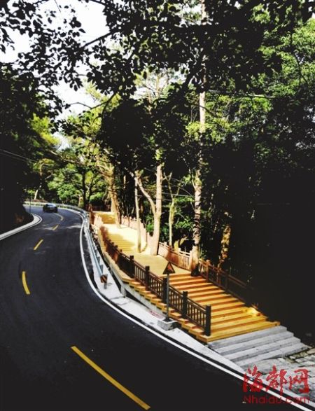 鼓岭最拉风木栈道