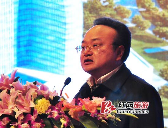 湖南省国资委副主任杨平在仪式上讲话