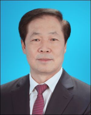 2013年安徽省"两会"选举结果总汇
