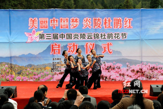 炎陵云锦杜鹃花节开幕 答对问题门票可打八折