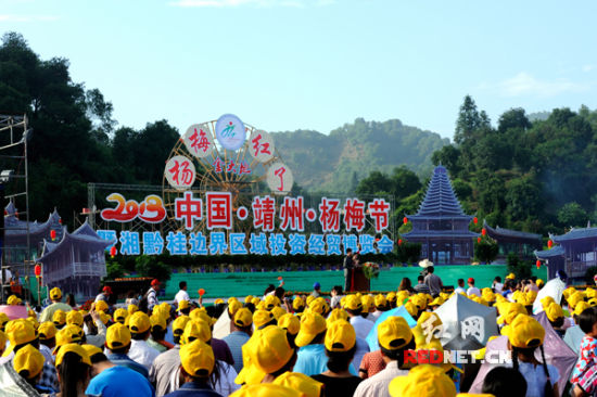 2013靖州杨梅节开幕 嘉宾上山体验采摘新鲜杨梅