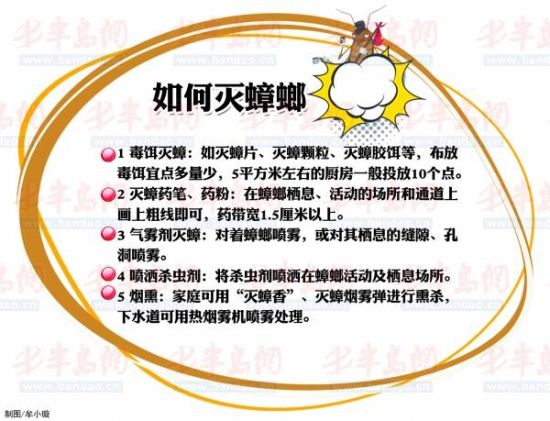 天气潮热蟑螂出没 爱卫办提醒市民灭蟑需彻底
