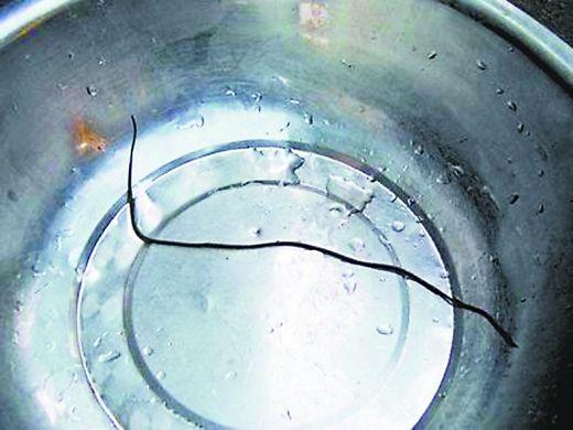 除了喷水,花洒还能干什么?  滋生铁线虫!