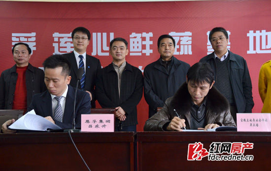 孟畅)12月25日,恩孚集团与岳麓区莲花镇宝粮土地专业合作社正式签约
