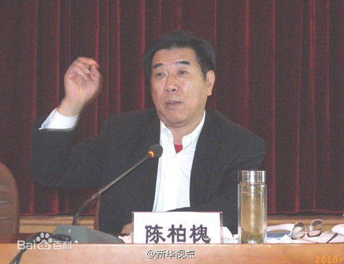 最高人民检察院依法决定对陈柏槐立案侦查