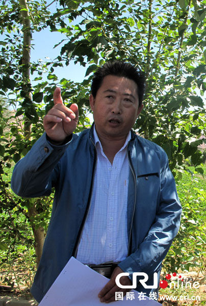 > 正文,   二连村辣椒种植基地 国际在线记者 李默 摄国际在线报道