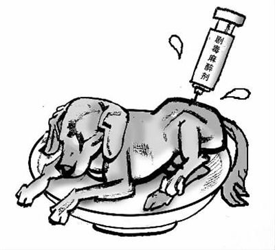 浙江最大毒狗肉案