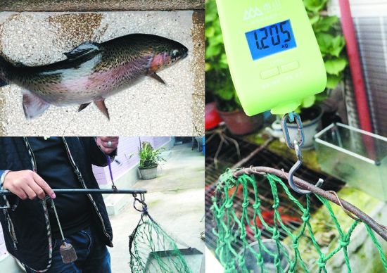 京郊游的两杆秤