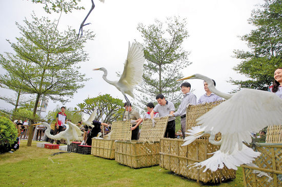 野生鸟放生花都湖合适否