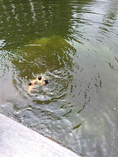 妙齡女輕生三協勤跳河救人